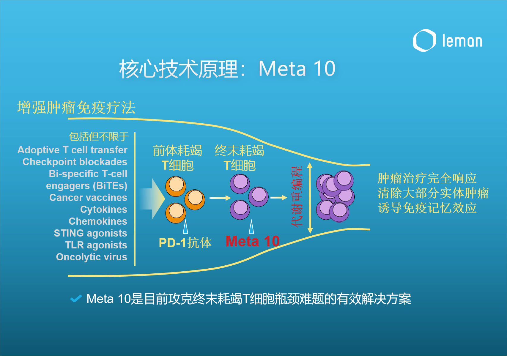 免疫代谢重编程+AI赋能创新肿瘤免疫疗法，莱芒生物成立半年即获近亿元天使轮融资